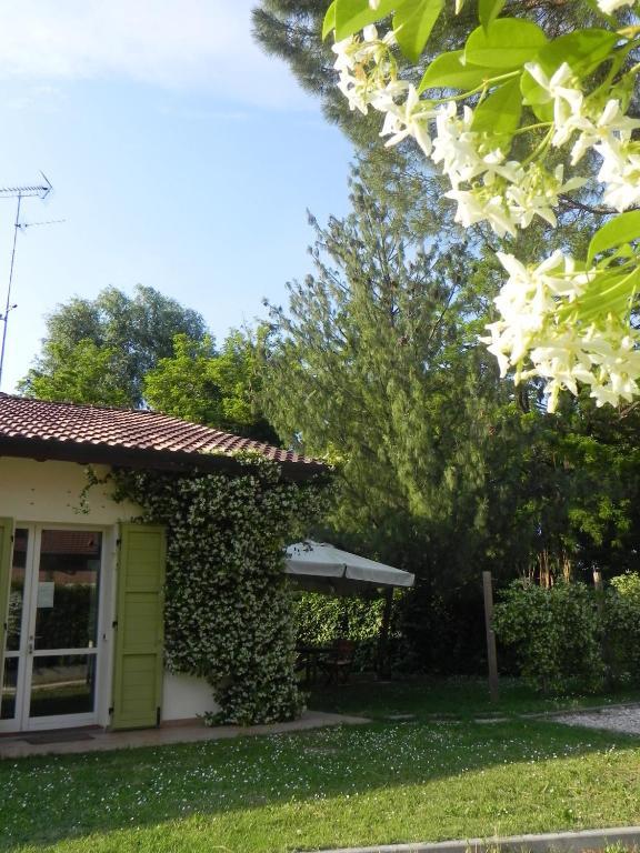 Caterina Residence Faenza Exterior foto
